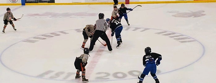 Moose Sherritt Ice Arena is one of Hockey.