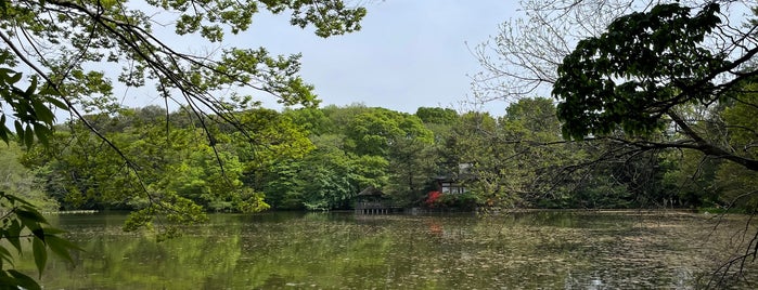三宝寺池 is one of 建造物１.