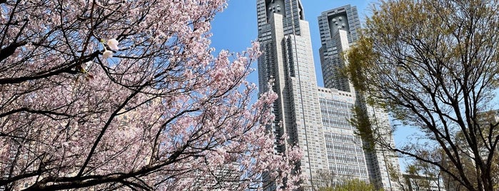 Shinjuku Chuo Park is one of Orte, die Banu gefallen.