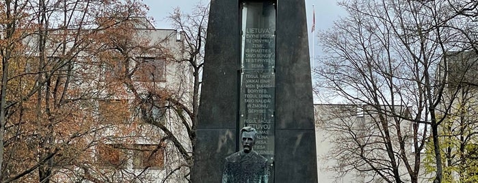 Vincas Kudirka monument is one of Vilnius.