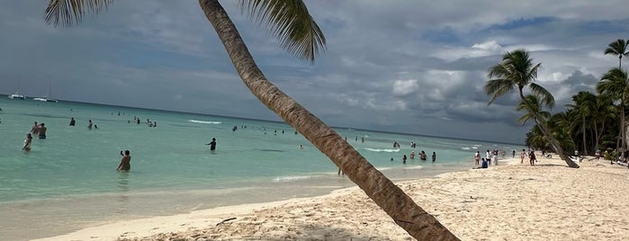 Isla Saona is one of Travel.