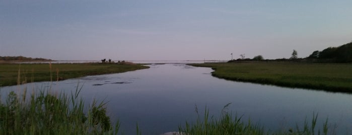 Barn Island Wildlife Mgmt. Area is one of In SECT..