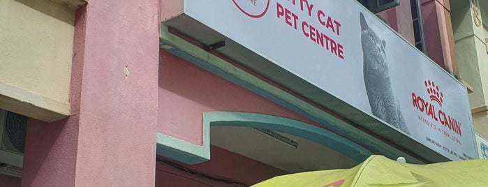 Kitty Cat Pet Centre is one of Jalan Jalan Cari Pet’s Shop.