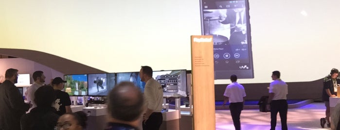 Sony Electronics Booth: CheckInCES is one of Boğa.