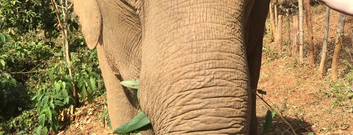 Elephant Jungle Sanctuary is one of Orte, die Sora gefallen.