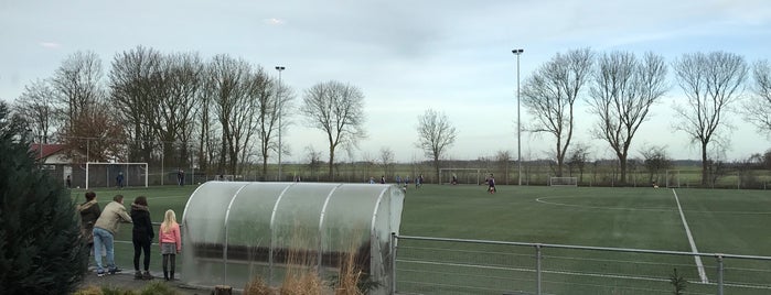 Sv Roac is one of Voetbalclub Zuid Holland.