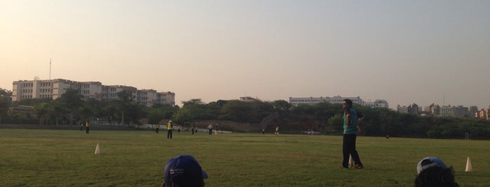 cricket clubs