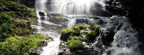 Amicalola Falls State Park is one of สถานที่ที่บันทึกไว้ของ Tye.