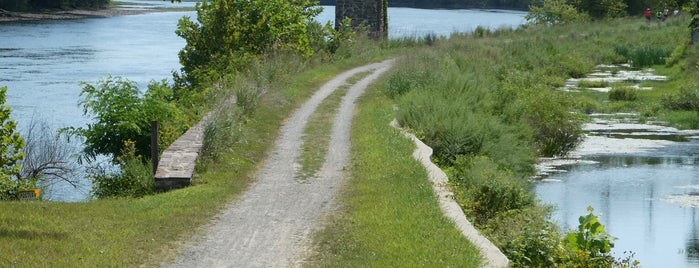Deleware Canal Trail is one of สถานที่ที่ Lizzie ถูกใจ.