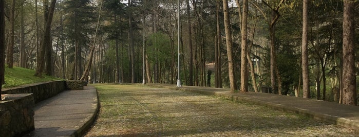 Abraham Pasa Korusu is one of Zeynep'in Beğendiği Mekanlar.