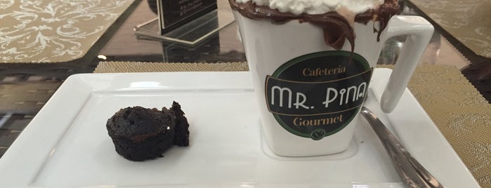 Mr. Pina Gourmet is one of Juiz De Fora.