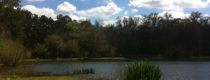Tom Brown Park is one of Things To Do & Places To See -- Tallahassee.
