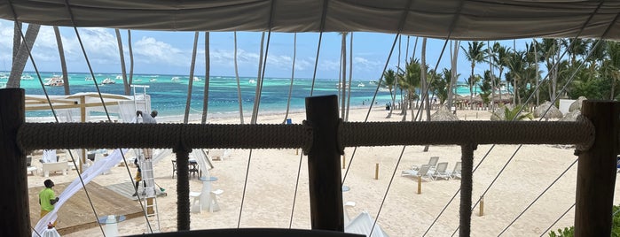 Jellyfish Beach Restaurant is one of Dominican Republic 12.2020/01.2021.