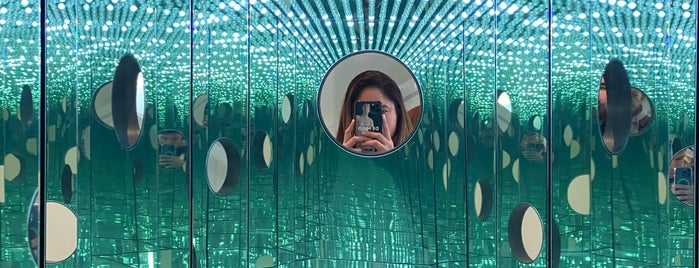 Yayoi Kusama's Infinity Mirrored Room at The Broad is one of USA.