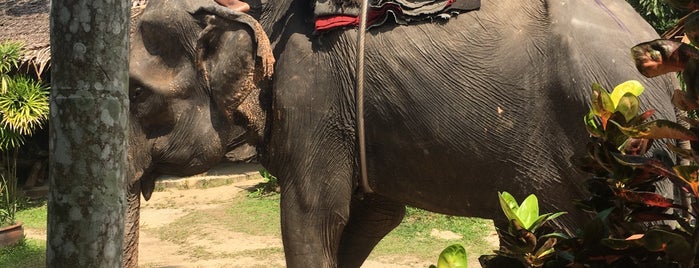 Nosey Parker is one of Krabi, Thailand.