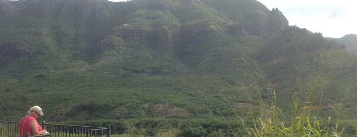 Menehune Fish Pond is one of Poipu.