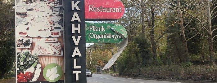 Meşelik Park Restaurant Sapanca is one of istanbul.
