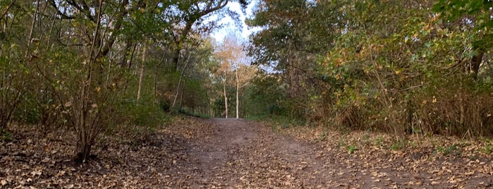 Bosjes Van Poot is one of สถานที่ที่ Theo ถูกใจ.