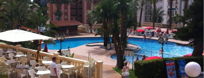 Hotel Palm Beach is one of Alojamiento Gran calidad.