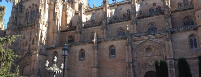 Salamanca is one of #GiraNorteña.