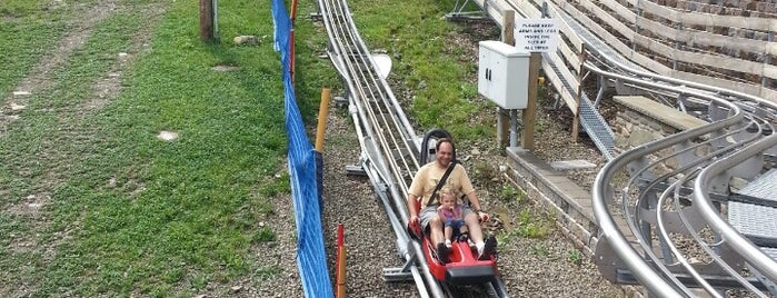 Mountain Coaster  at  Holiday Valley is one of Places To Be.