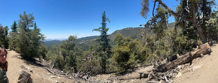 Ernie Maxwell Scenic Trail is one of idyllwild.