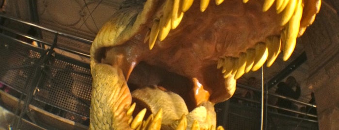 Dinosaur Gallery is one of London.