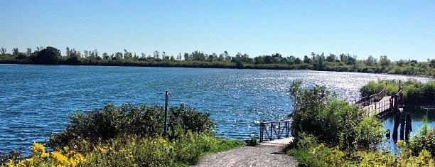 Tommy Thompson Park is one of Summer Time.