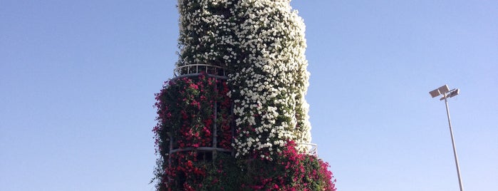 Dubai Miracle Garden is one of Tempat yang Disukai Pavel.