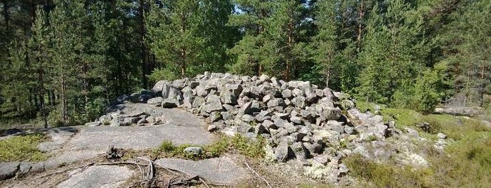 Sammallahdenmäki is one of World Heritage Sites - North, East, Western Europe.