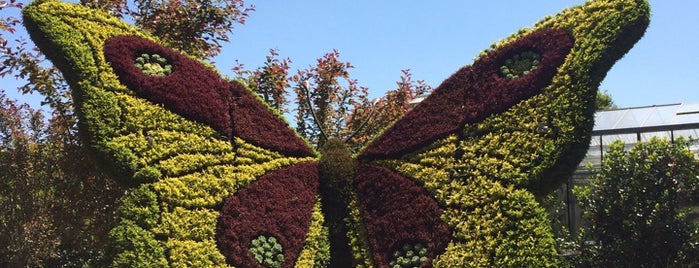 Atlanta Botanical Garden is one of Atlanta, GA.