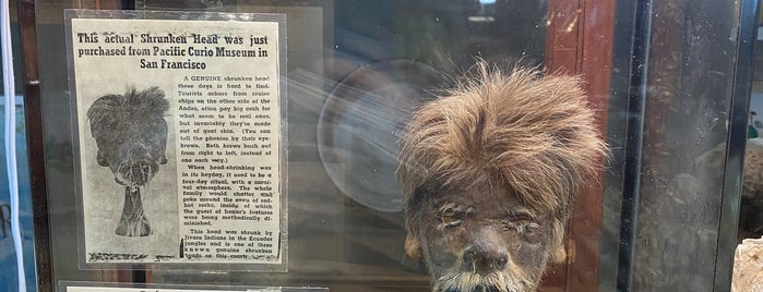 Marsh's Free Museum is one of Long Beach, Seaview, Chinook, Ilwaco & Oceanpark❤.