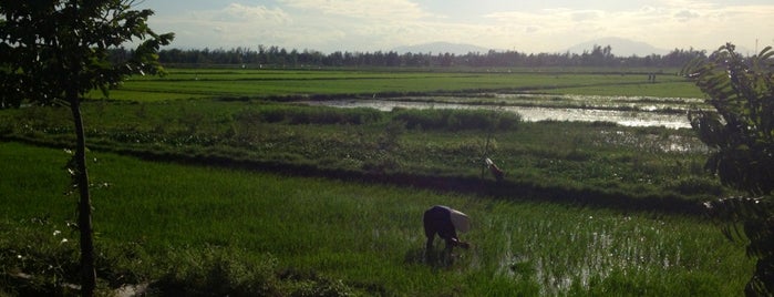 Rice Fields is one of Places in The World.
