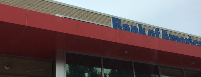 Bank of America is one of Necessitates.