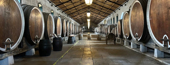 Adega Regional de Colares is one of Portuguese Wine.