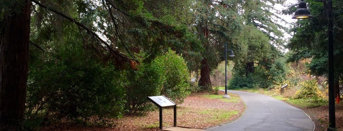 El Palo Alto Park is one of California 🇺🇸.