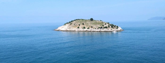 Amasra Galla Pazarı is one of Emre: сохраненные места.
