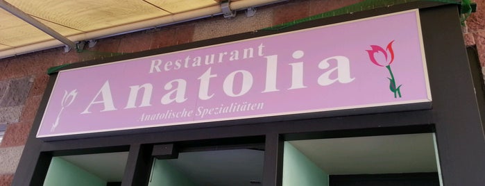 Restaurant Anatolia is one of Basel restaurants.