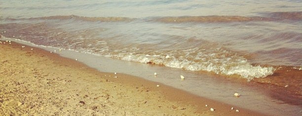 Пляж на Полевом спуске is one of Posti che sono piaciuti a Princessa.