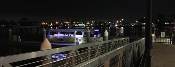 Marina del Rey WaterBus is one of La Thingies.