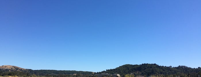 Abbot's Lagoon is one of california.