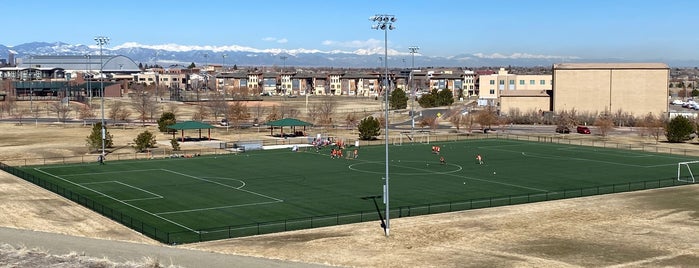 Lowry Sports Park is one of Lugares favoritos de Andrea.