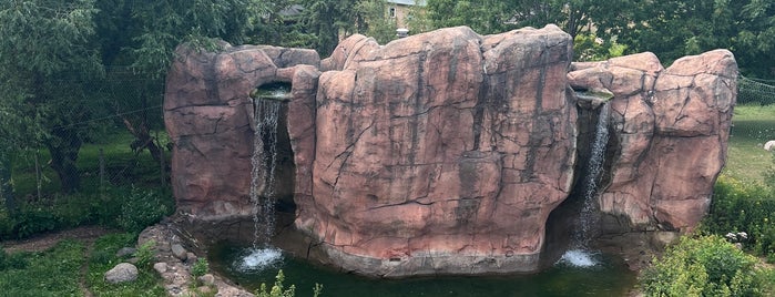 Lake Superior Zoo is one of Duluth.