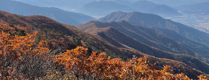 지리산 국립공원 is one of 韓国・地方都市【食事】.