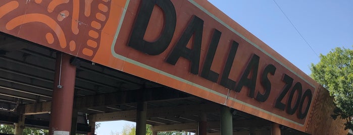 Dallas Zoo Station (DART Rail) is one of Visiting Dallas.