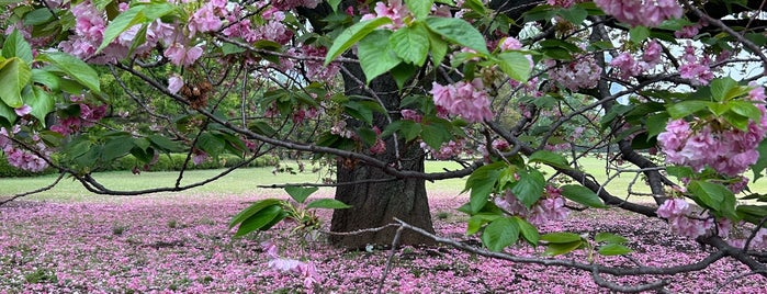 整形式庭園 is one of 公園.