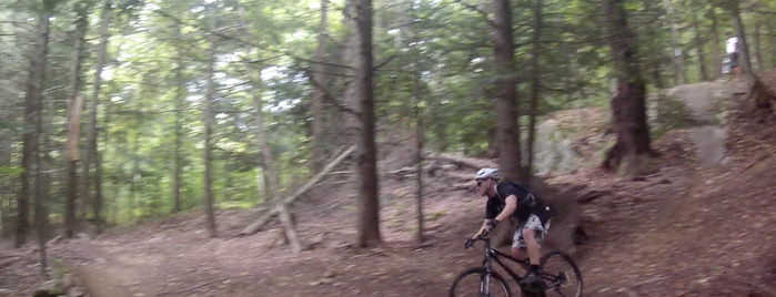 Carse Hills is one of Mtn Bike Vermont.