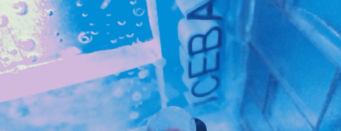 Ice bar is one of Chelseaさんのお気に入りスポット.