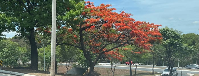 Asa Sul is one of Brasília.