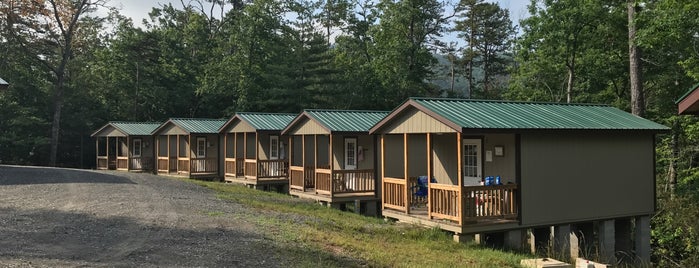 Raven Knob Scout Reservation is one of Camping.
